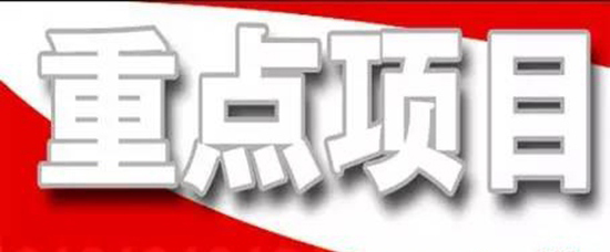 抓住项目不放松---王勤光到星空手机官网入口-星空(中国)集团调研重点项目情况