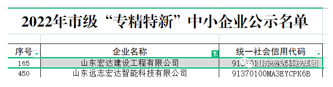 【榜上有名】星空手机官网入口-星空(中国)建设荣获“2022年市级专精特新”企业