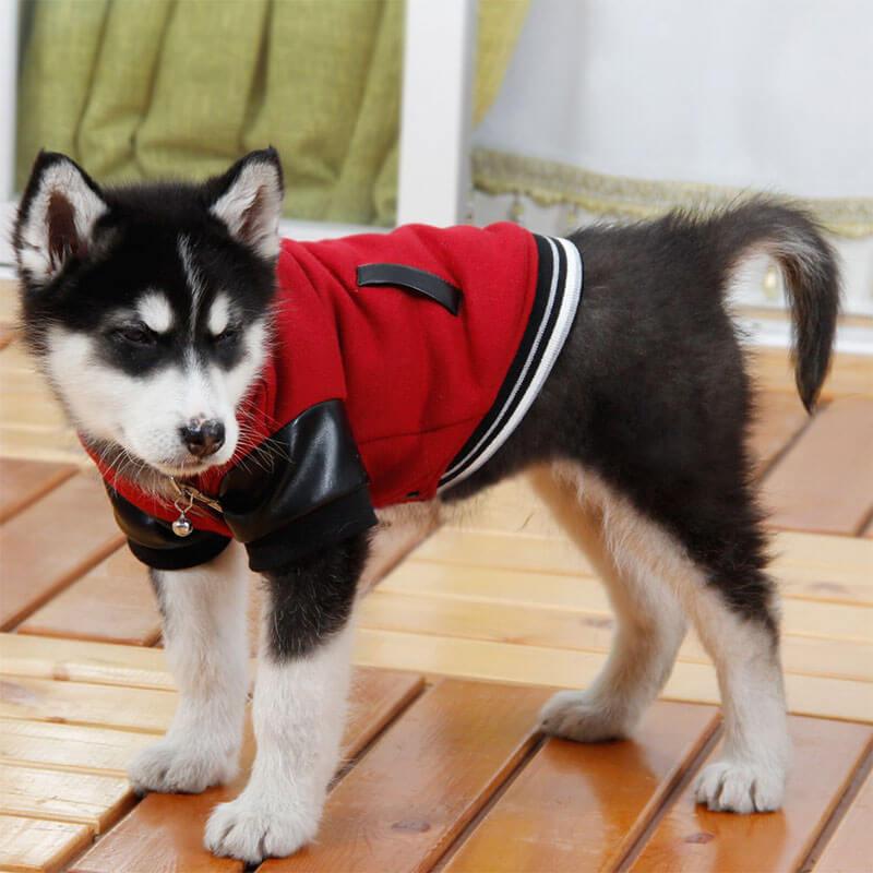 button down sports dog jacket | best dog jackets u0026 coats 2017 -  pawsomemarket ICLOQUU