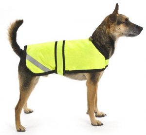 dog jackets WFKRYNW