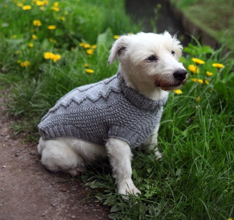 knitted dog coats 100% merino wool cable knit sweater grey dog coat hand FVTOLMX