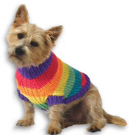 knitted dog coats rainbow dog sweater BURWQSI