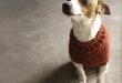 knitted dog coats top 5 free dog sweater knitting patterns on the loveknitting blog! LMZJASQ