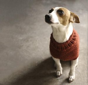 knitted dog coats top 5 free dog sweater knitting patterns on the loveknitting blog! LMZJASQ