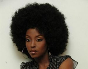 afro hair detangler