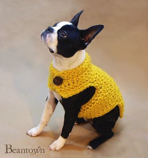 Oh my goodness! My heart hurts with all this cuteness! Crocheted Dog