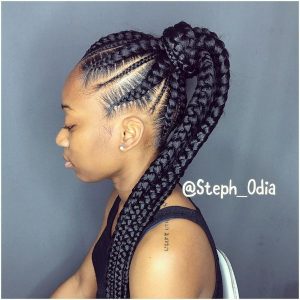 African Braids Hairstyles, Pretty Braid Styles for Black Women