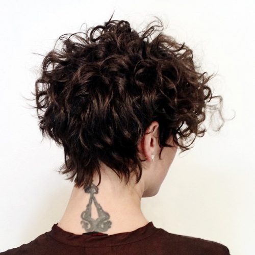 34 Best Hairstyles for Short Curly Hair Trending in 2019